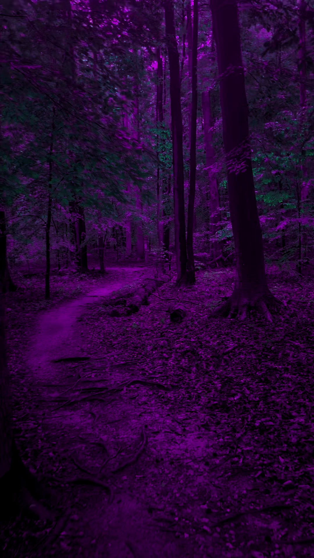 @DarkSpaces