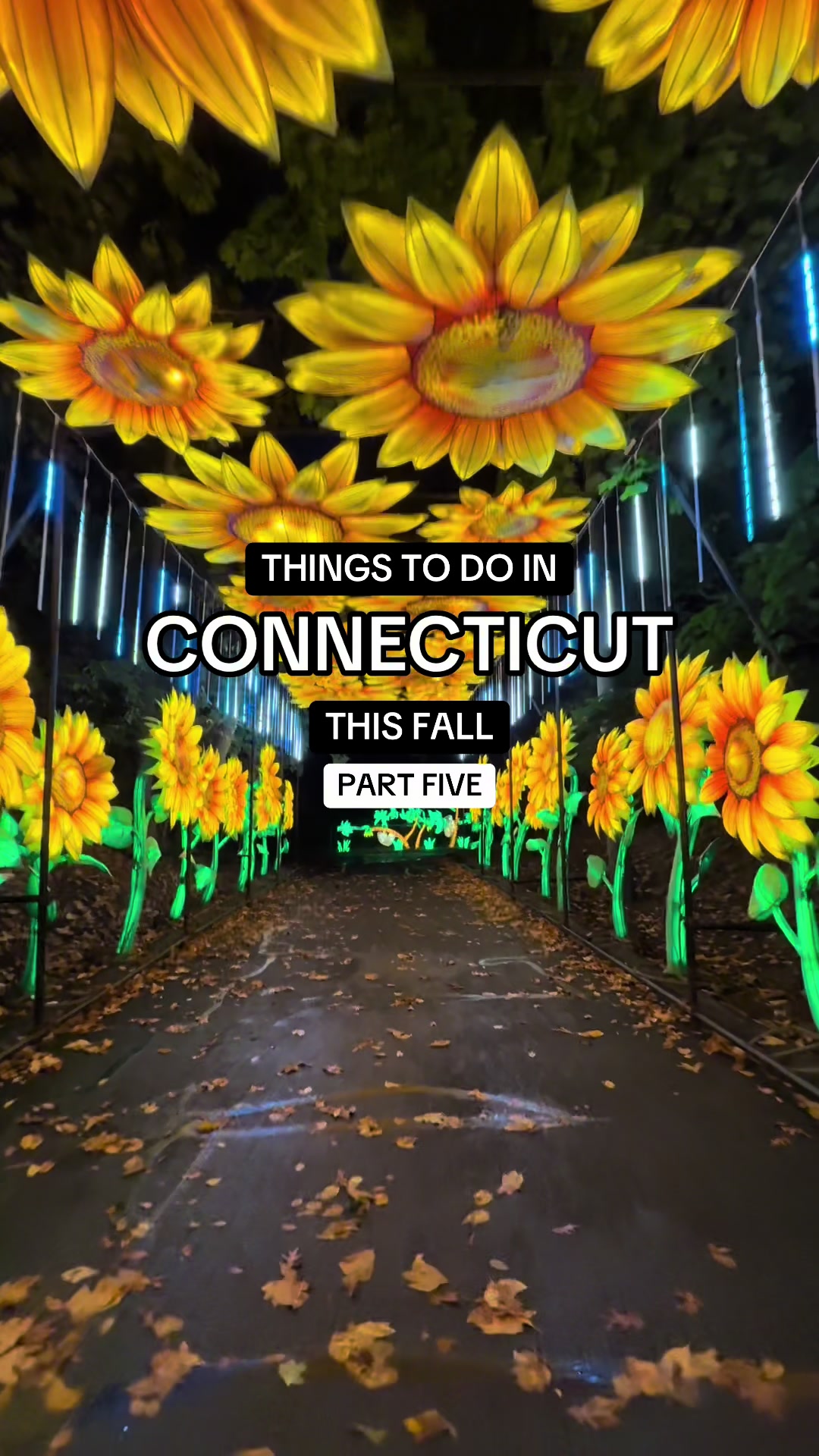 @tasteconnecticut