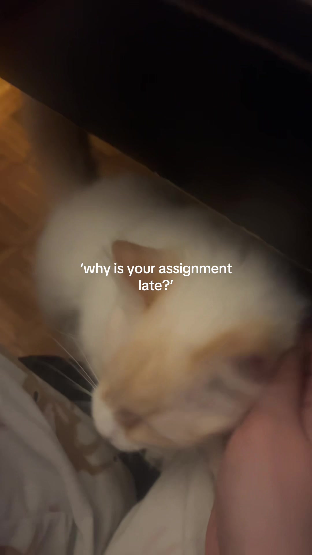 @;