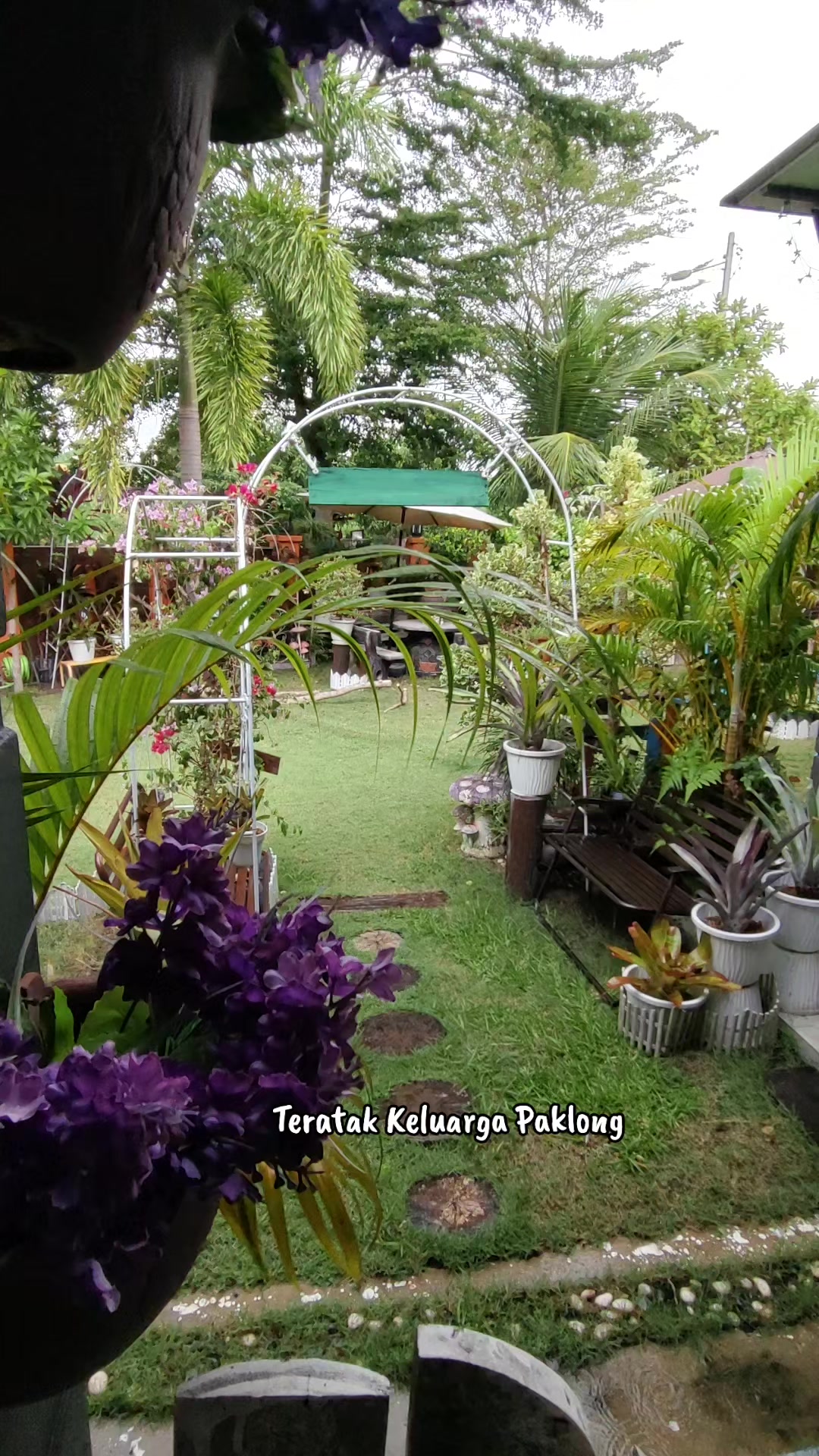 @Teratak Keluarga Paklong