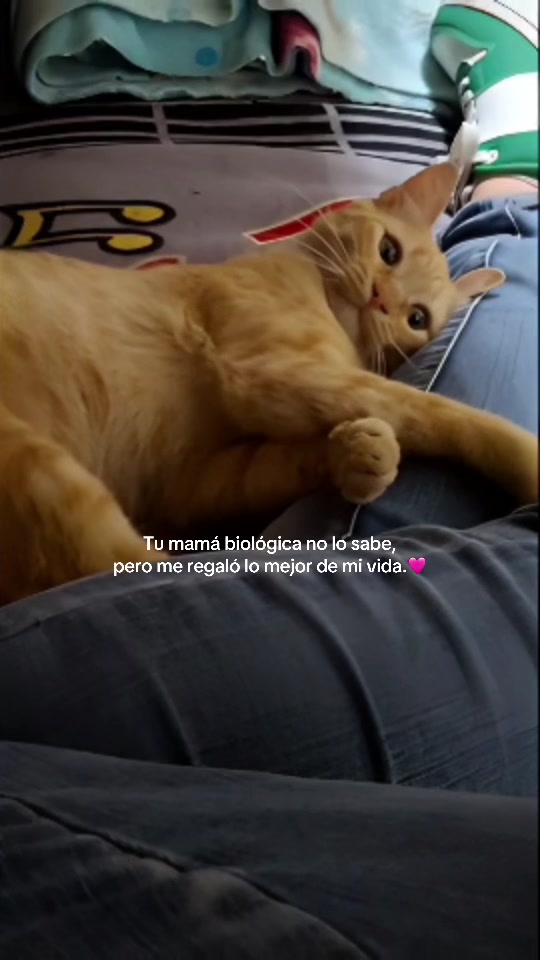 @Atzzz🩷