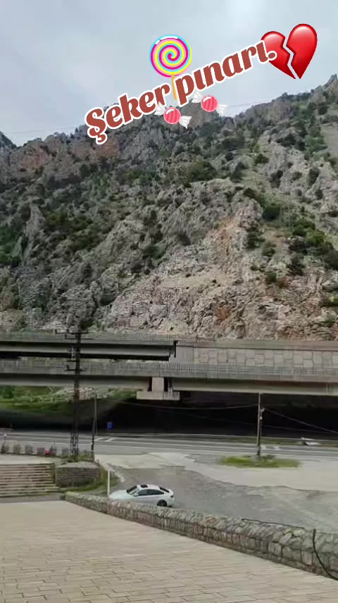 @Lila Yasemin