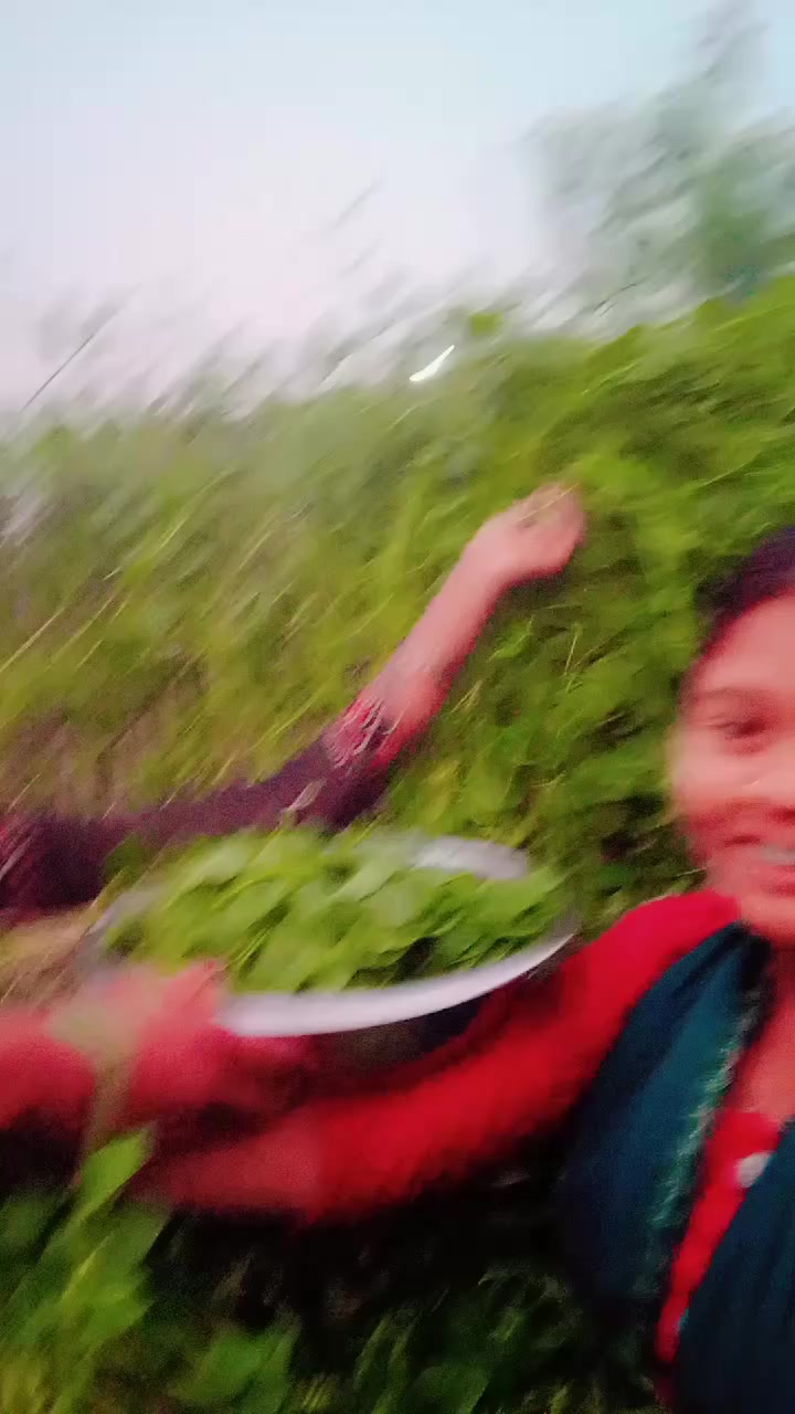 @Shivani