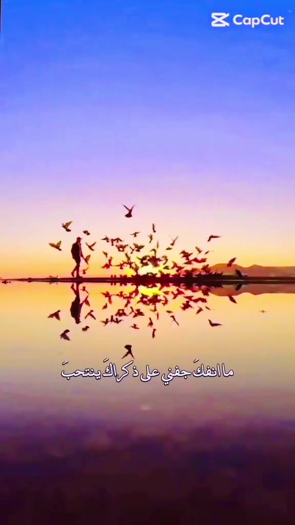 @....𝓐𝓵_𝓩𝓾𝓫𝓪𝓲𝓭𝓲
