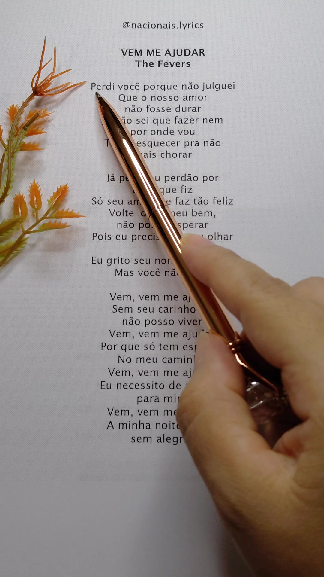 @nacionais lyrics