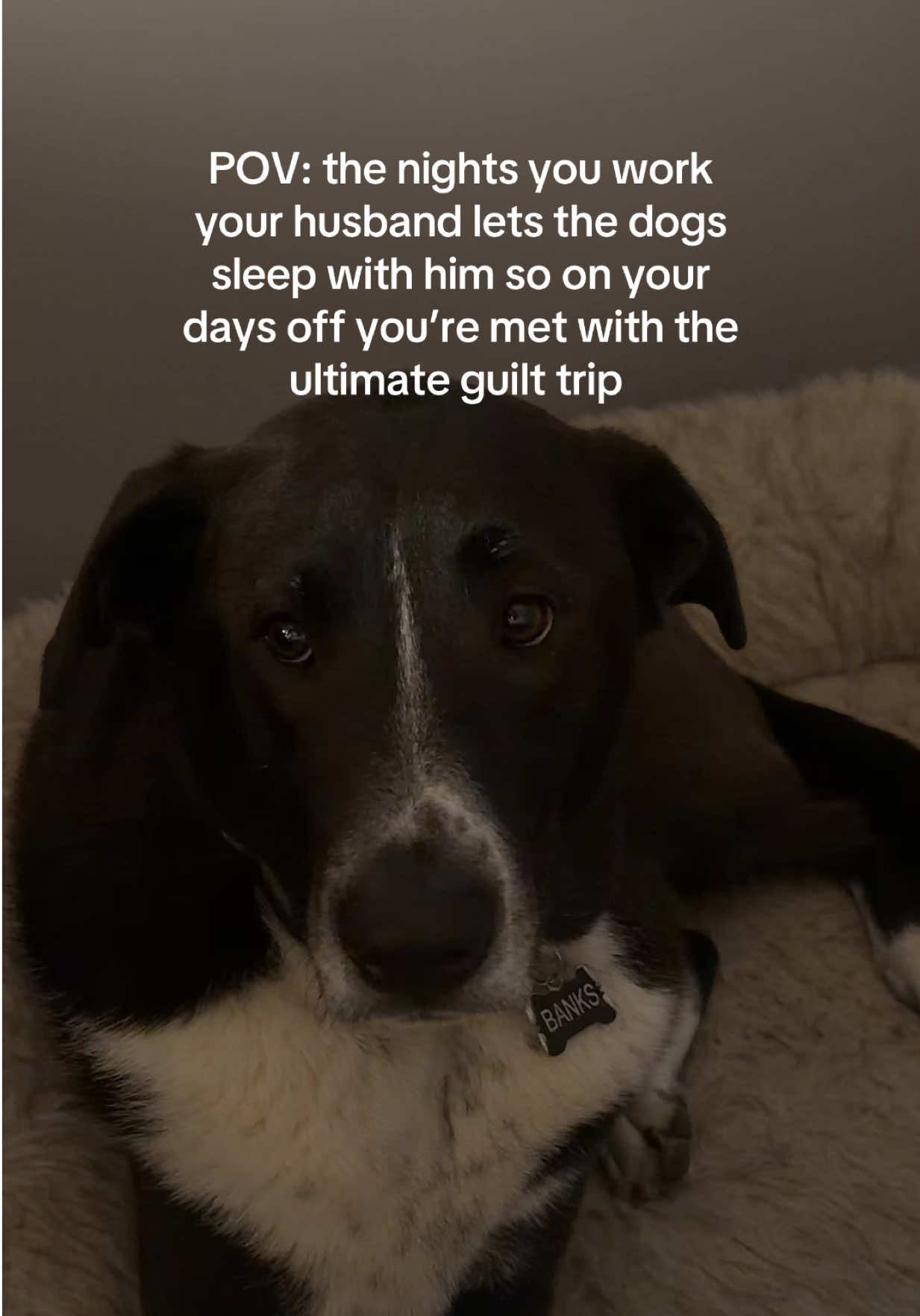 @megneumann
