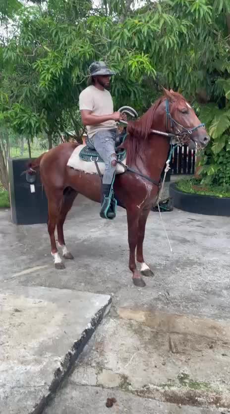 @caballero.R