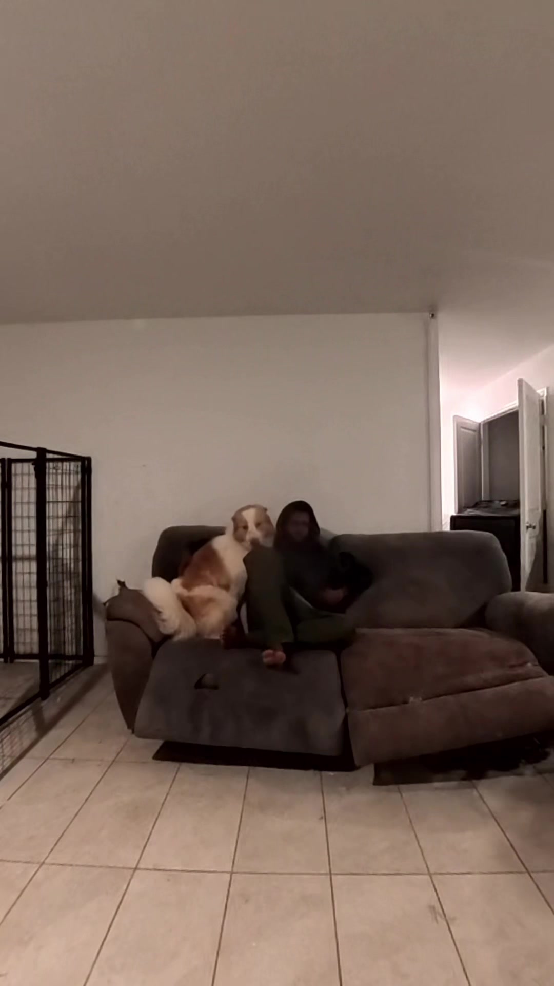 @Neko, Tokahli and Bear