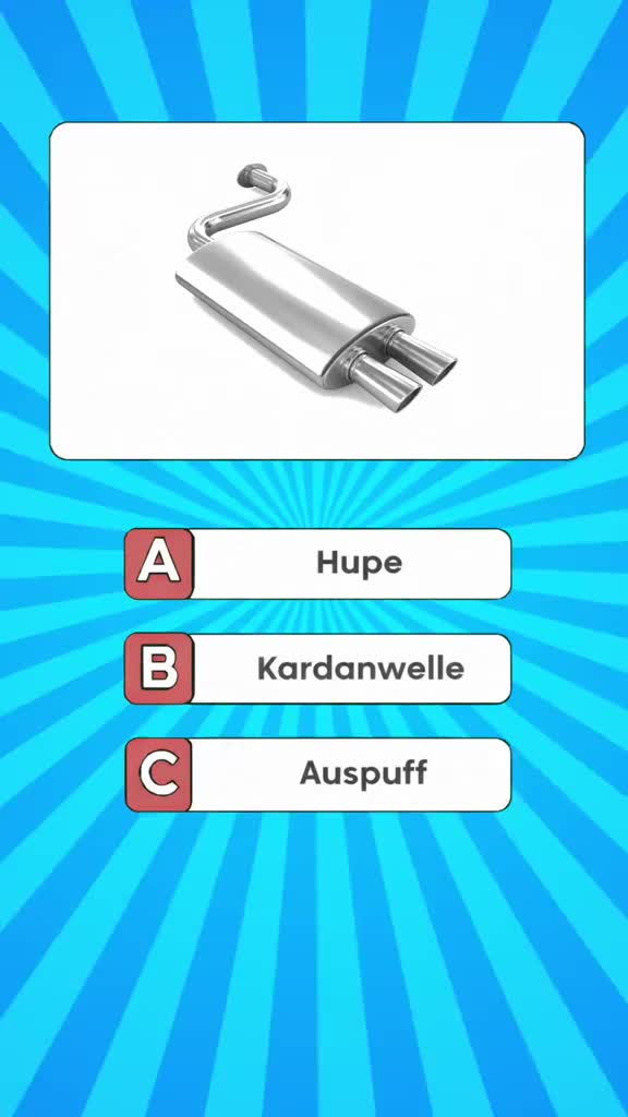 @DailyQuizMaster