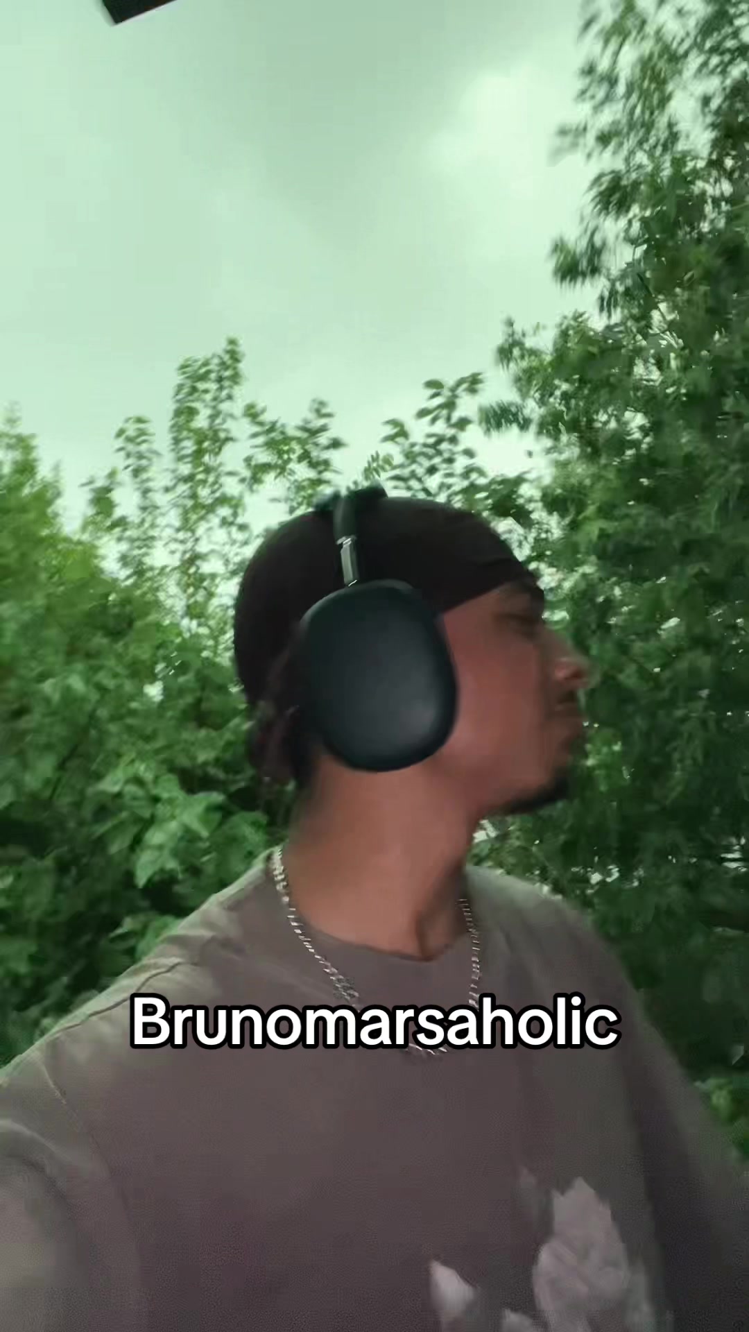 @purelydinero