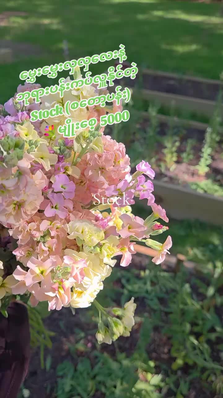 @Floral Village