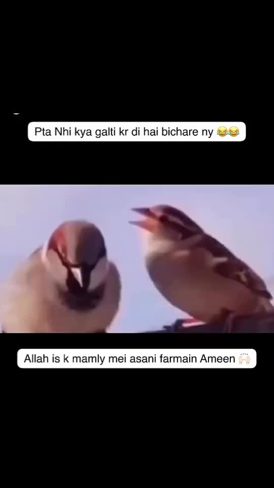 @Hijab Queen 👑👑