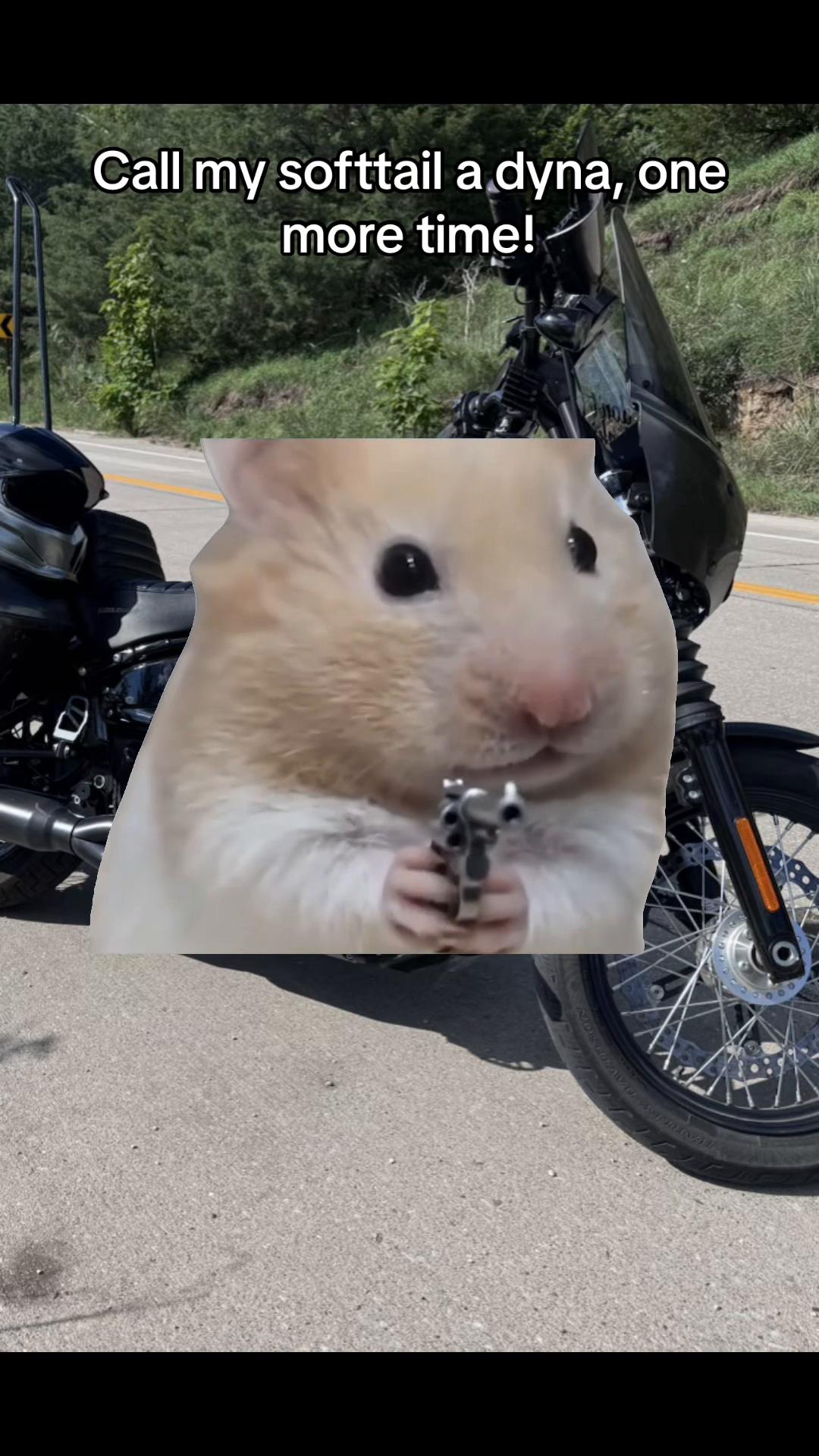 @Jojo_128Slowbob