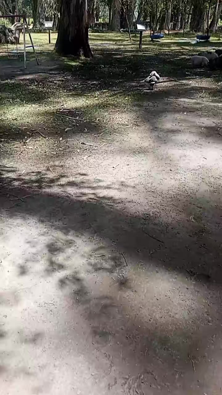 @😘🖤🖤🙈🥰🥰