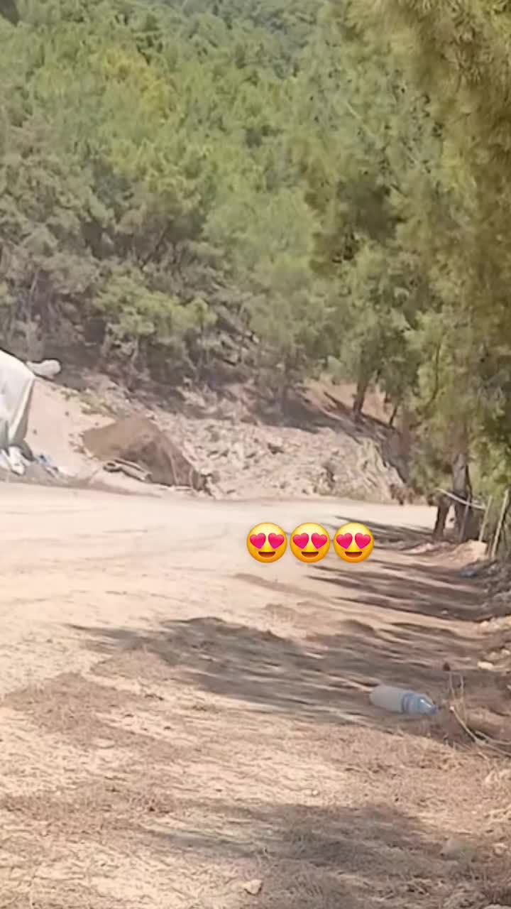 @Meryem ŞİMŞEK