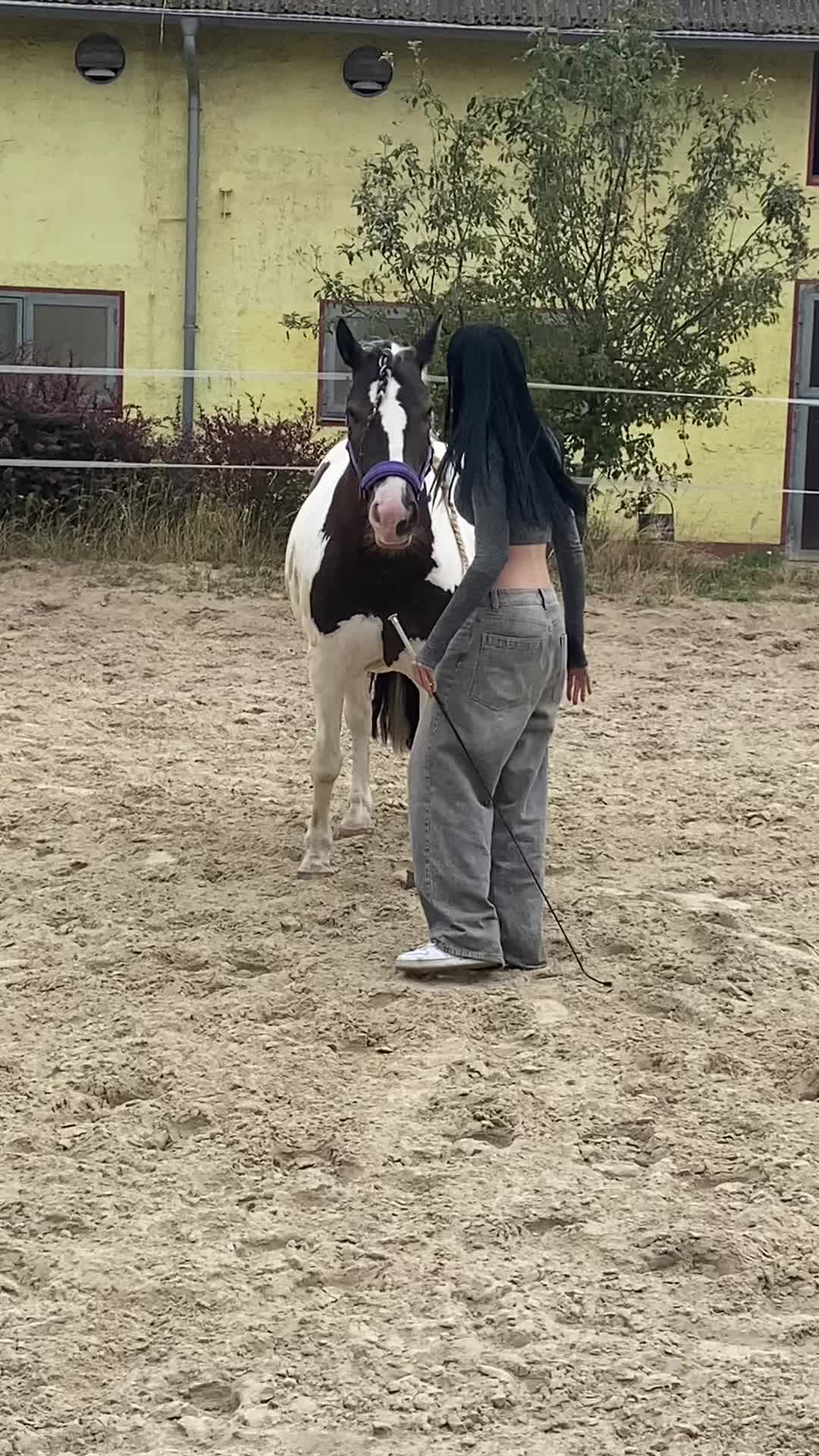 @sophie.x.090