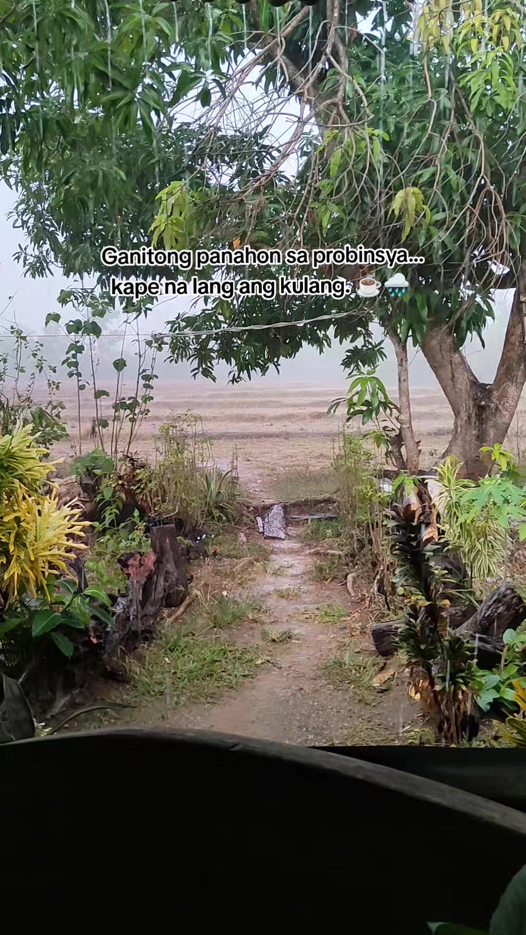 @๐๐ฒ๐ฎ๐ต๐ฒ๐ฌโจ