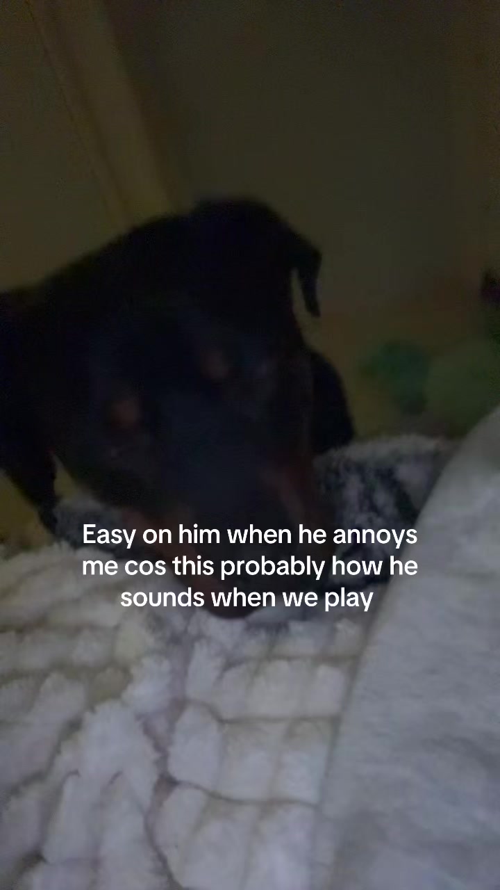 @444milz