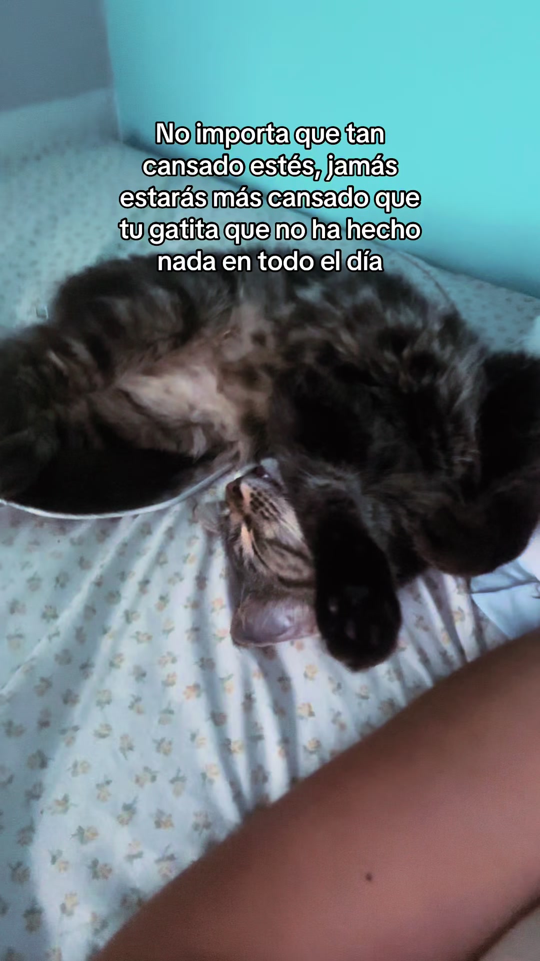 @Paniagua