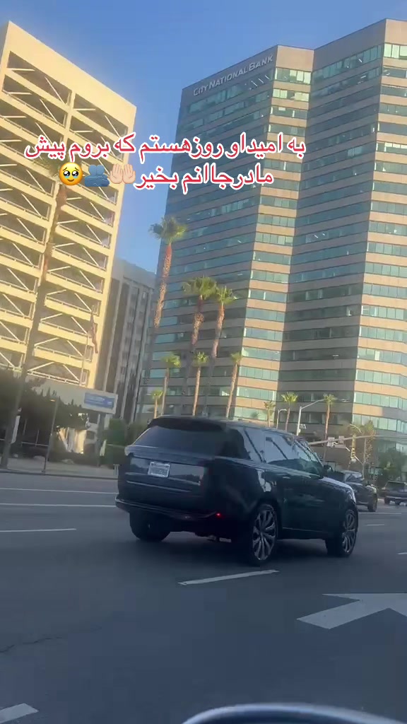 @asaljan0012