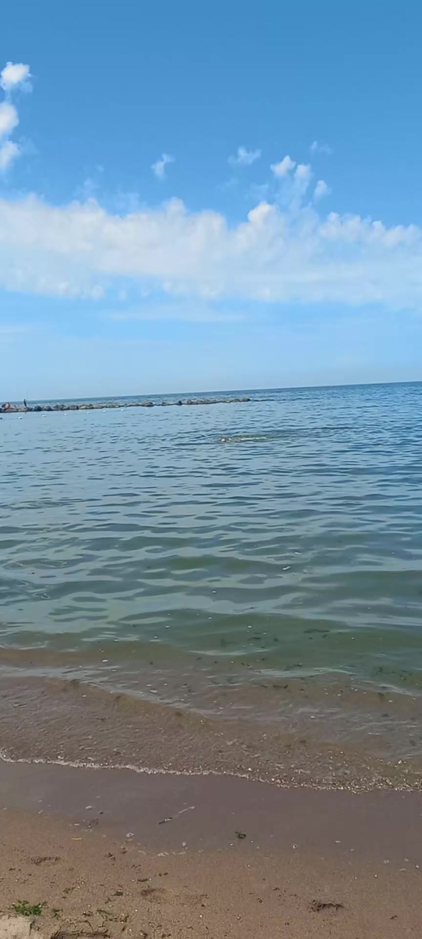 @Nurgül 74