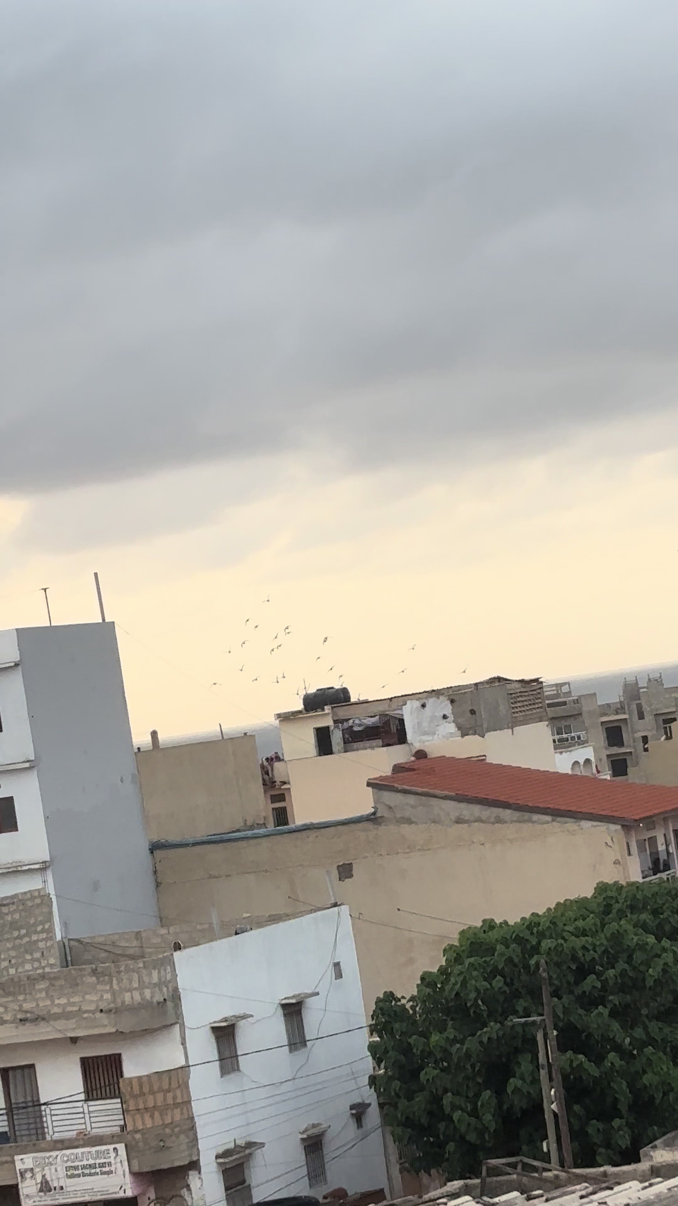 @OMZOLOFT🕊🦜🇸🇳