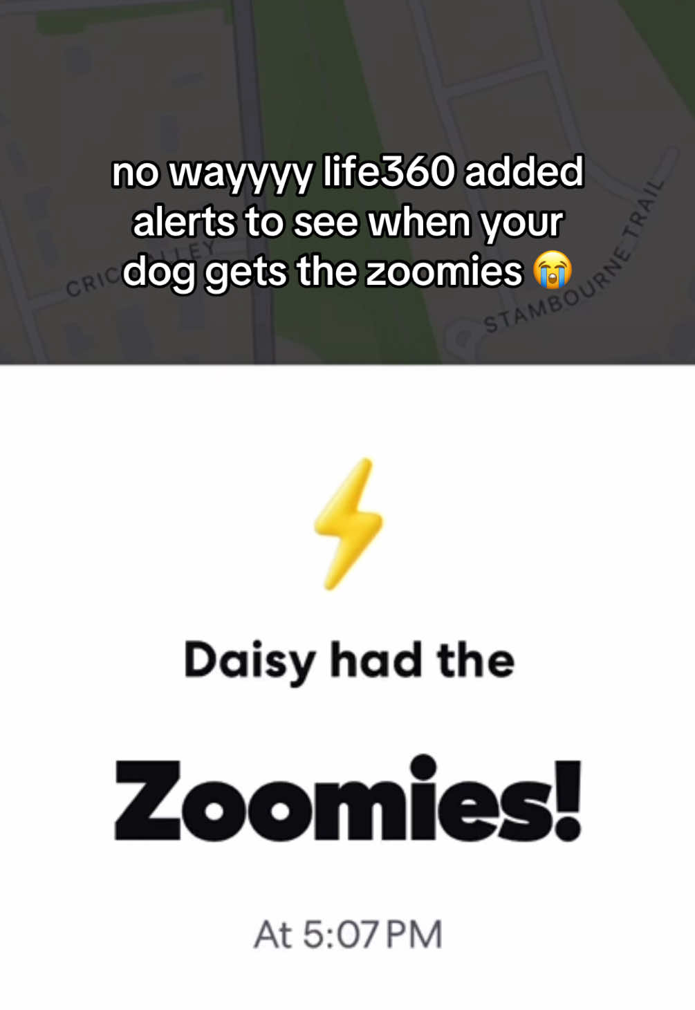 @Life360