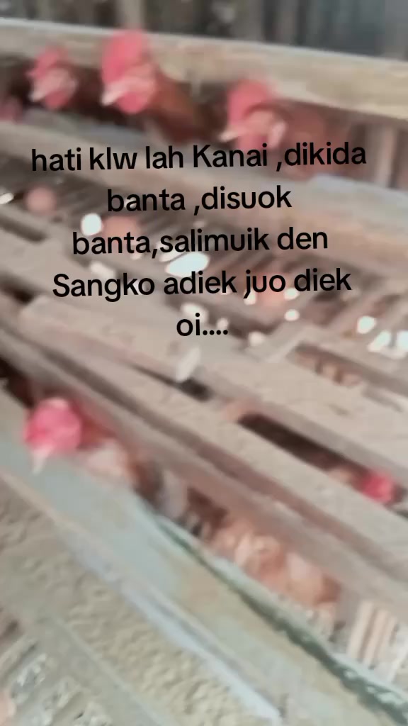 @ARORA 02