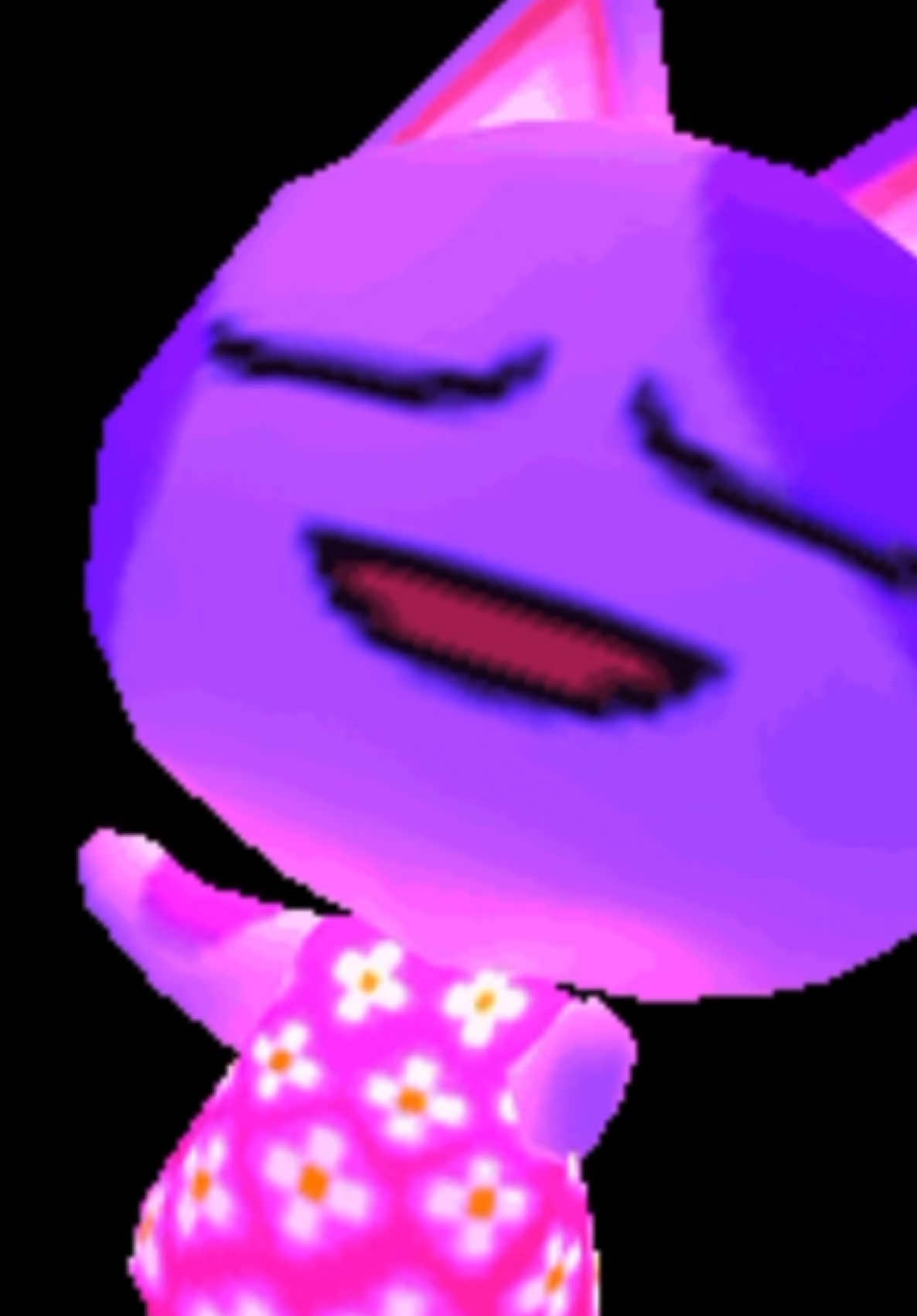 @Nyan
