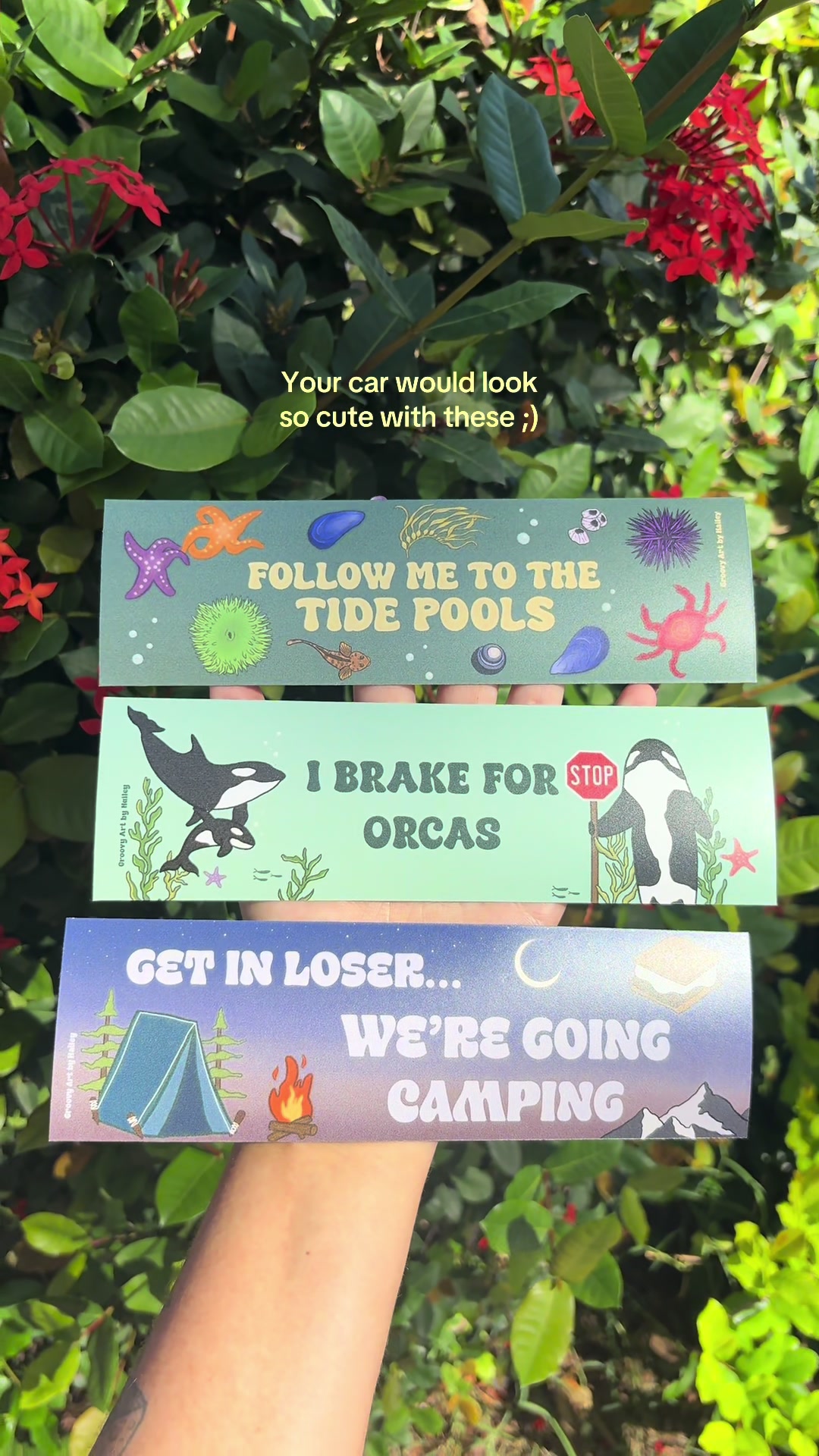 @𝗦𝗧𝗔𝗬 𝗚𝗥𝗢𝗢𝗩𝗬