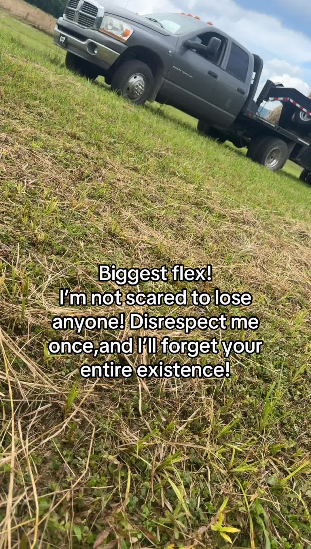 @tripleclivestock