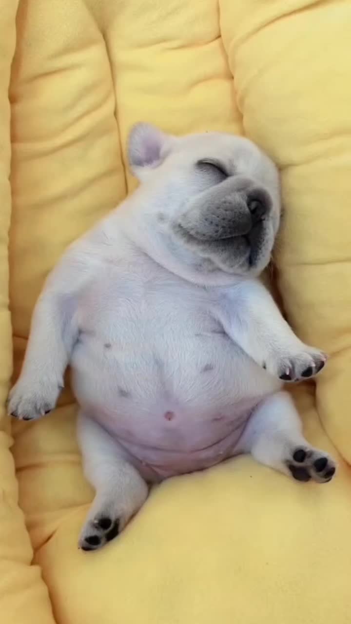 @MisterRobo