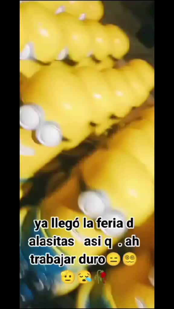 @Celia q.s