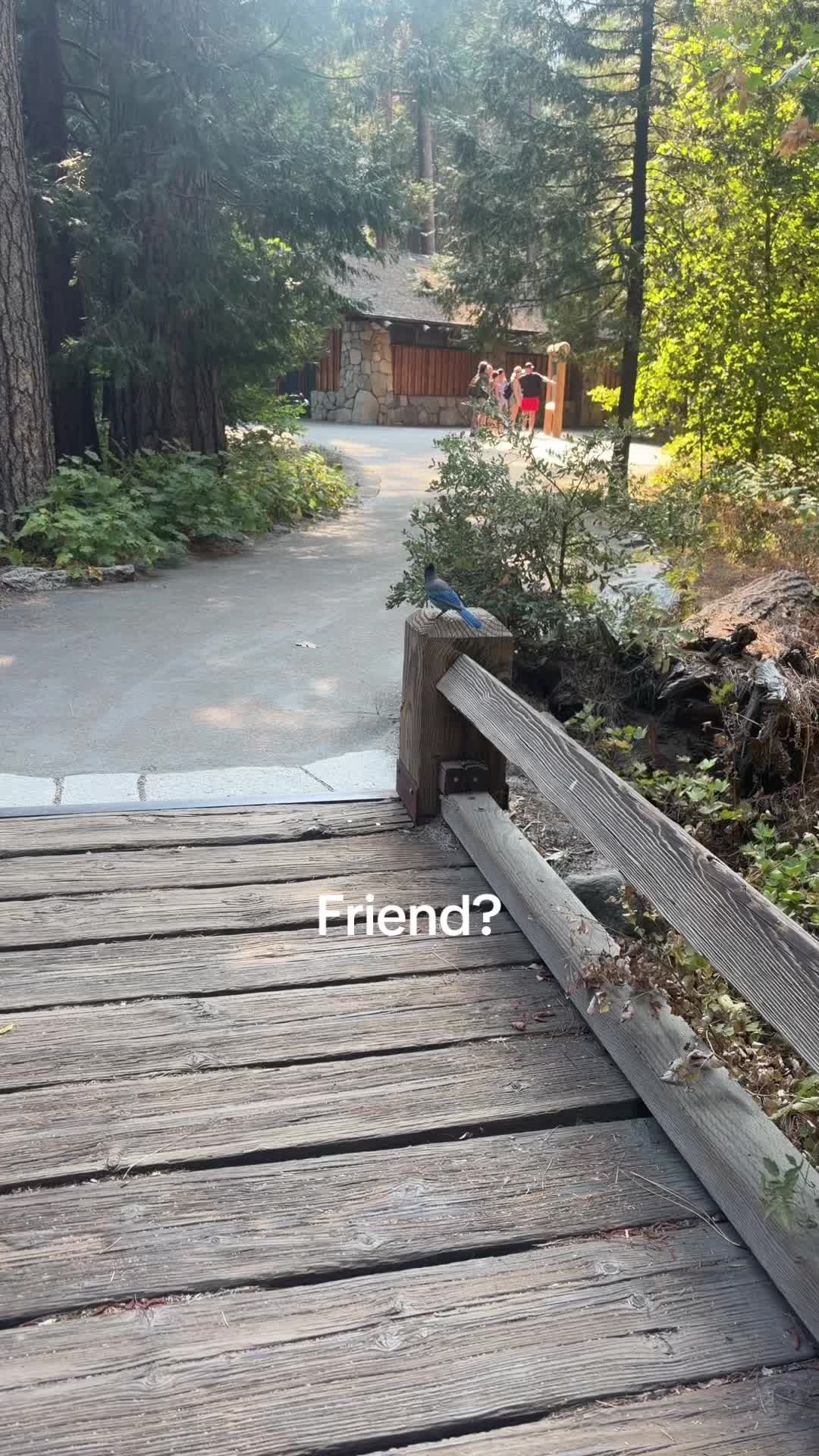 @@