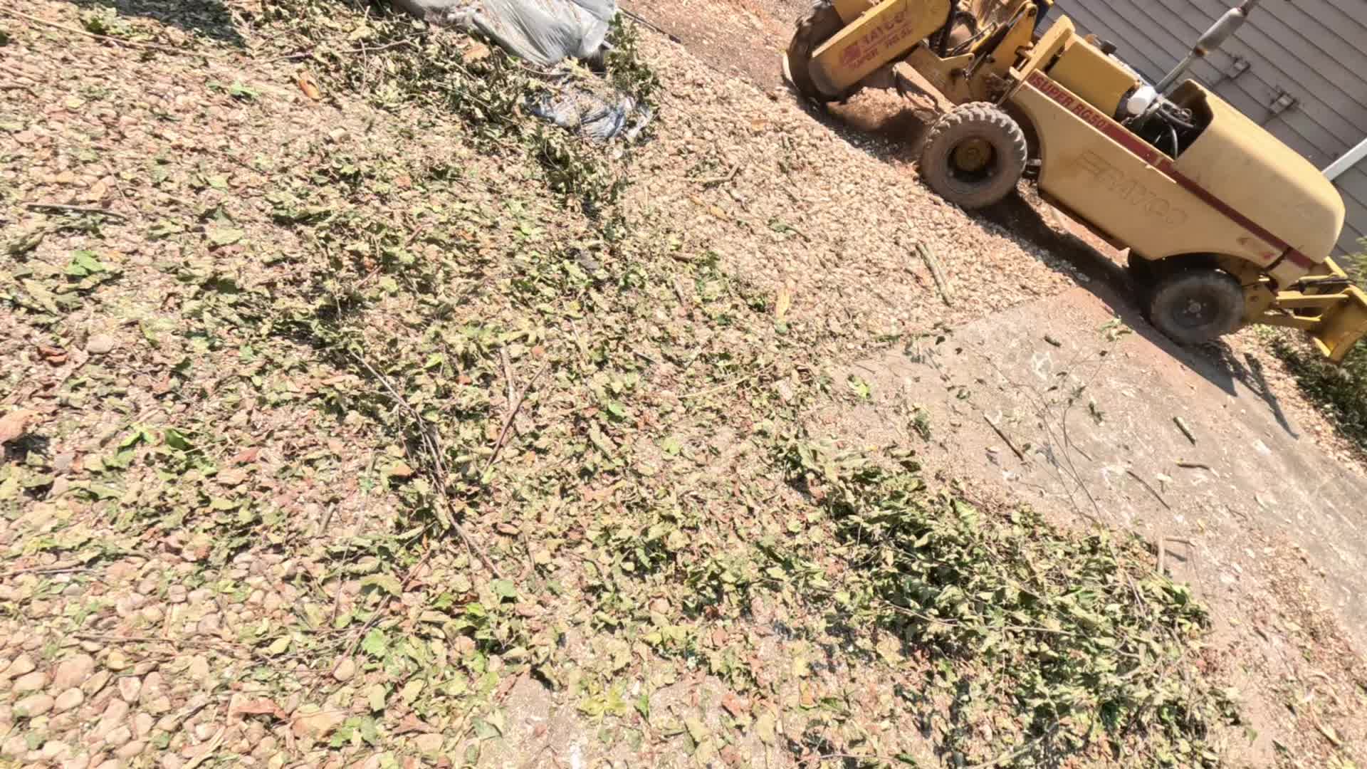 @FIDELMAR TREE CARE LLC