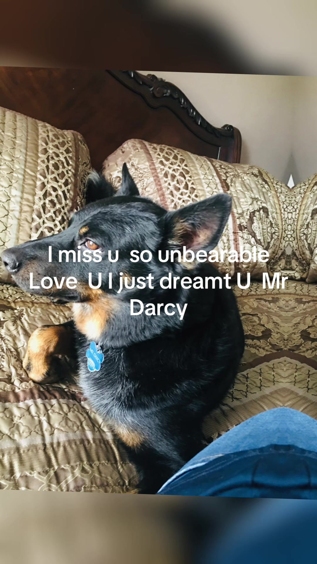 @Jackielove1104
