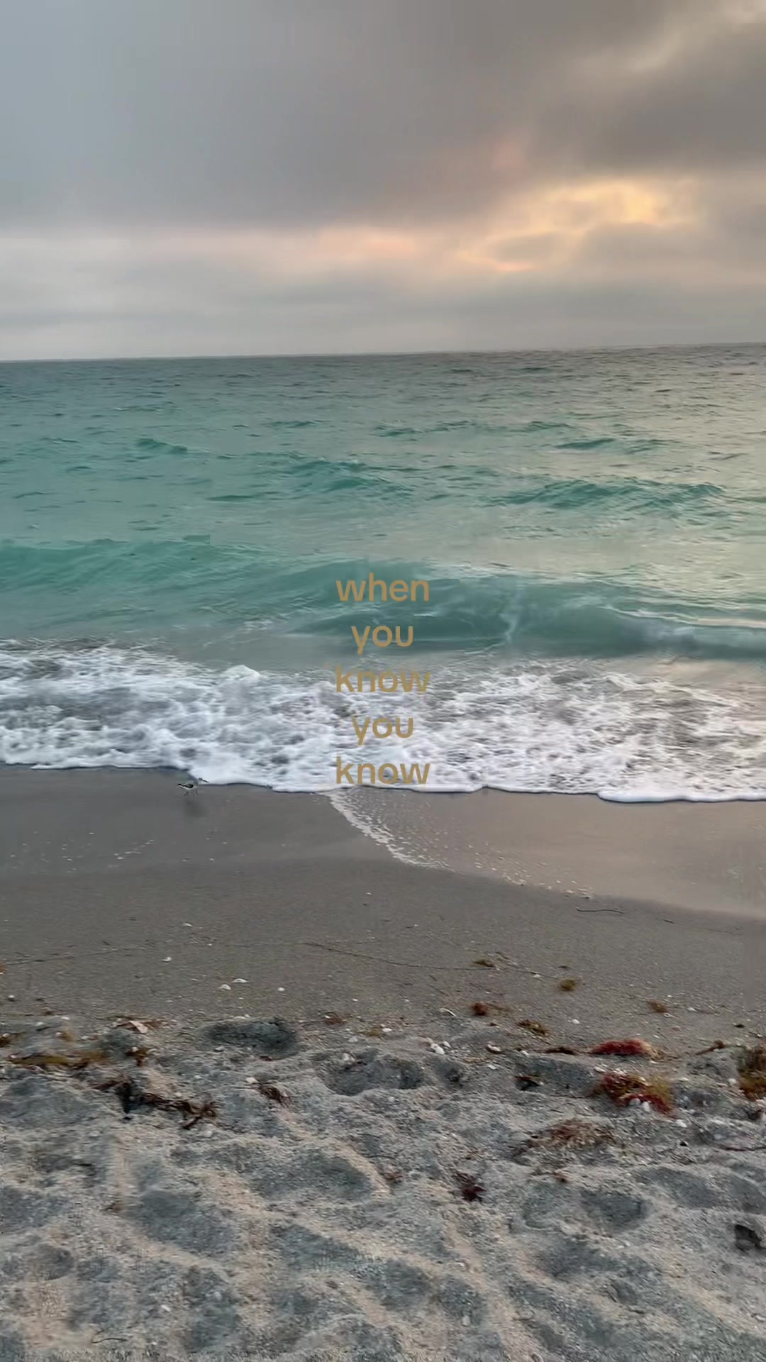 @♀🐚🫧🦢⁷⁷⁷🪞☁️🧿 ☥ 💌 🕷️✧