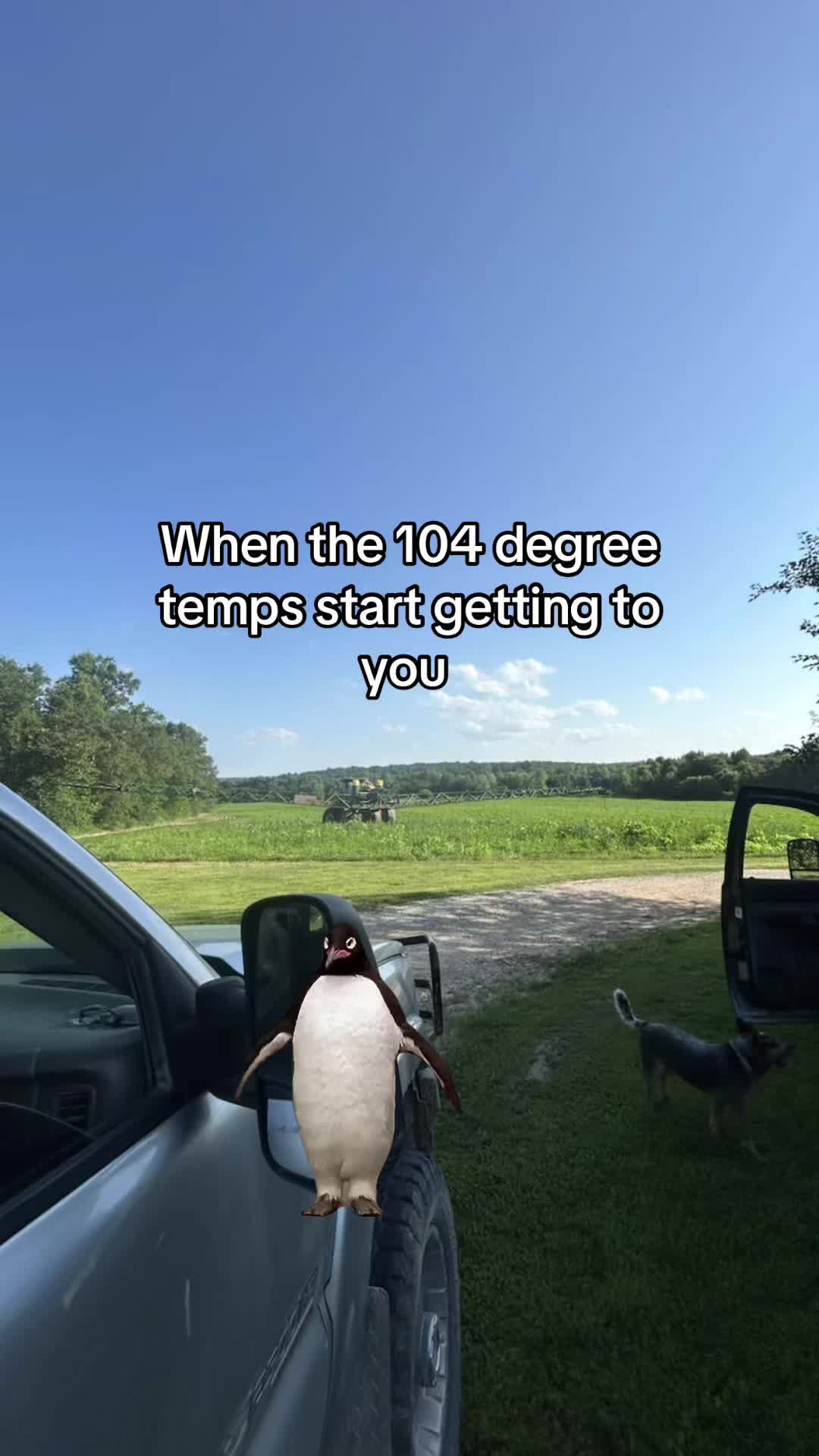 @Kolton Semkin