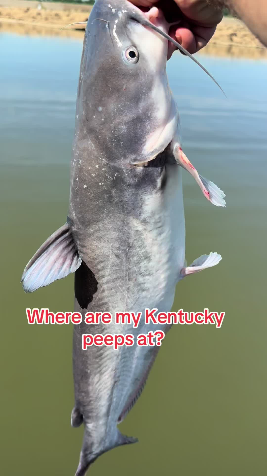 @Kentucky&ensp;Fishing