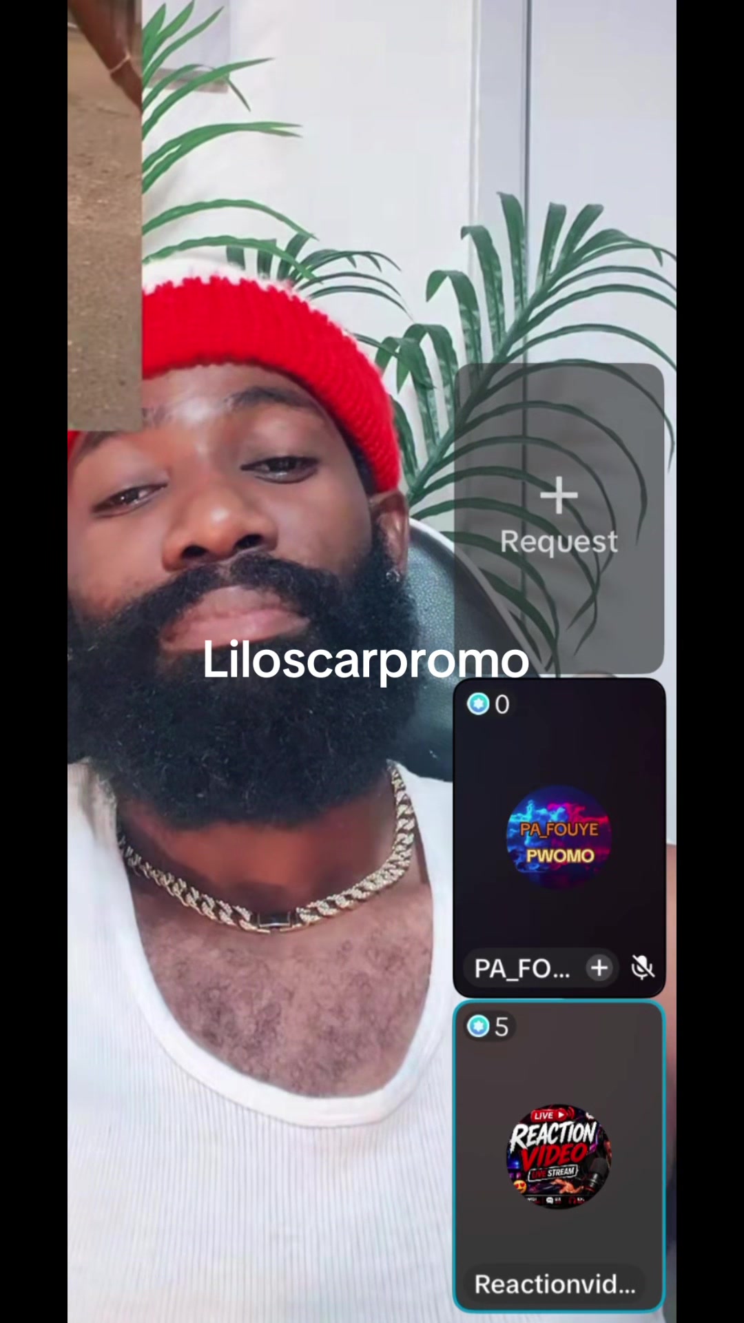 @Liloscarpromo