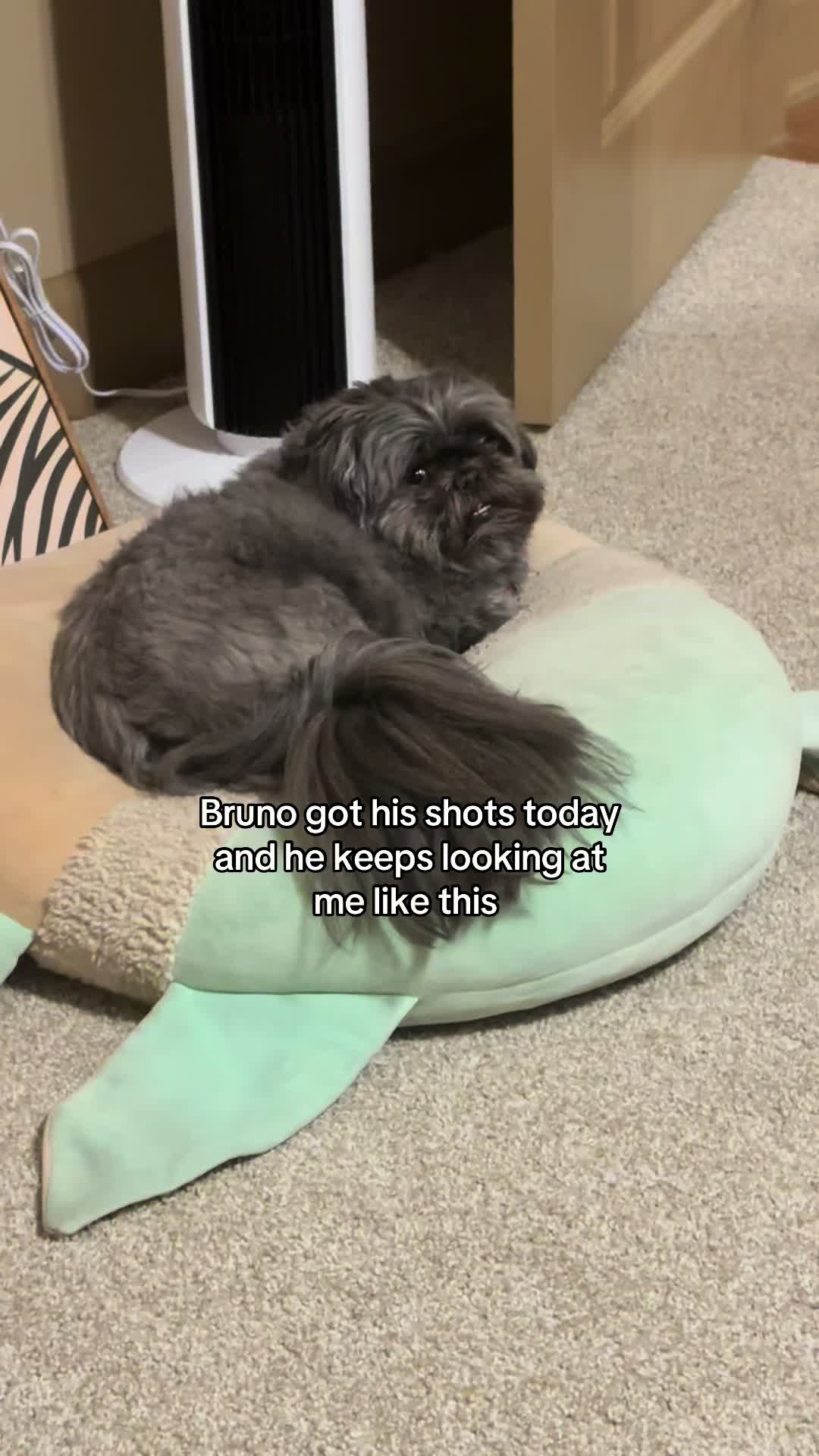 @AshBash