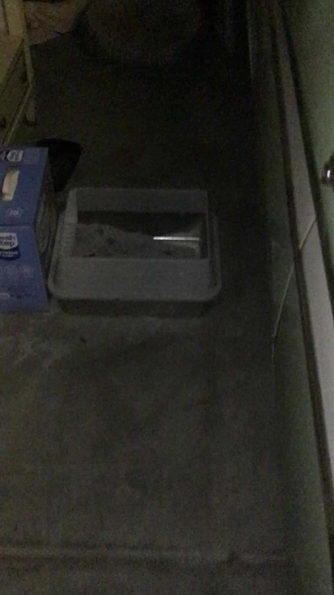 @boatsandesc0rts