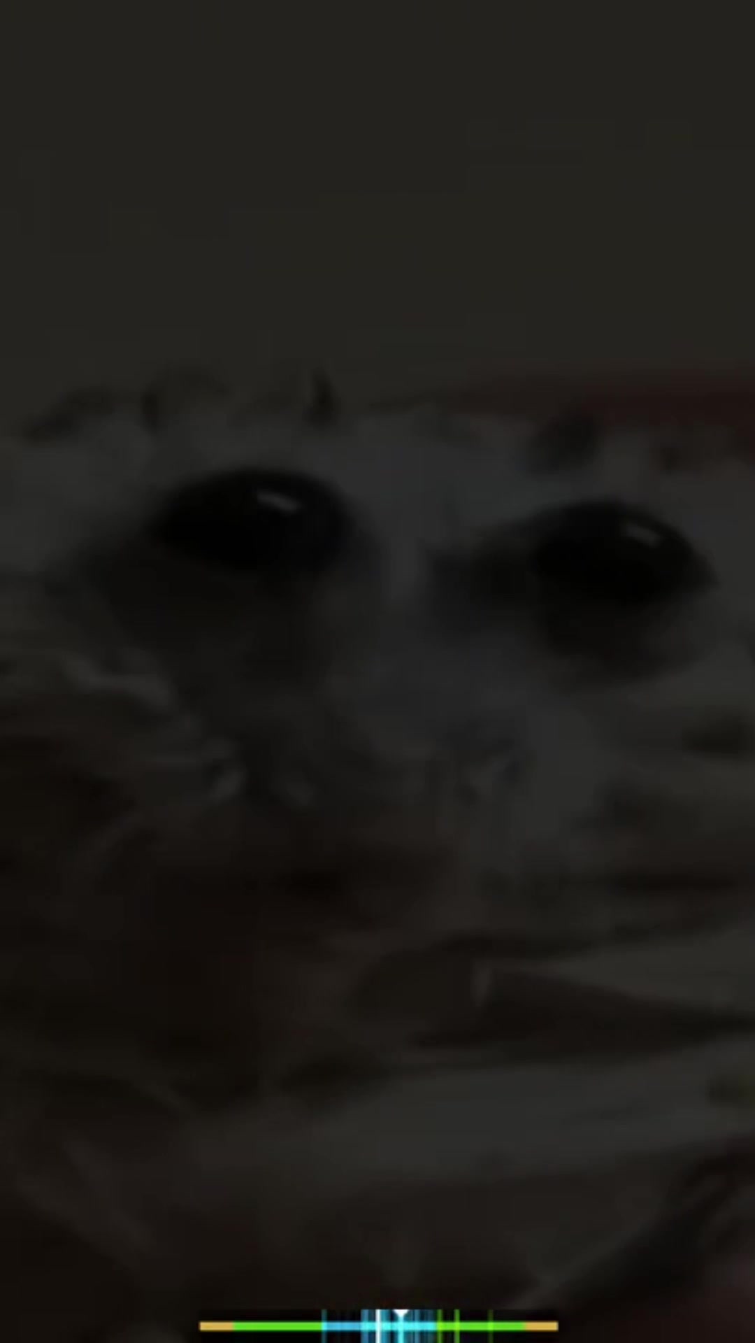 @Imaorange