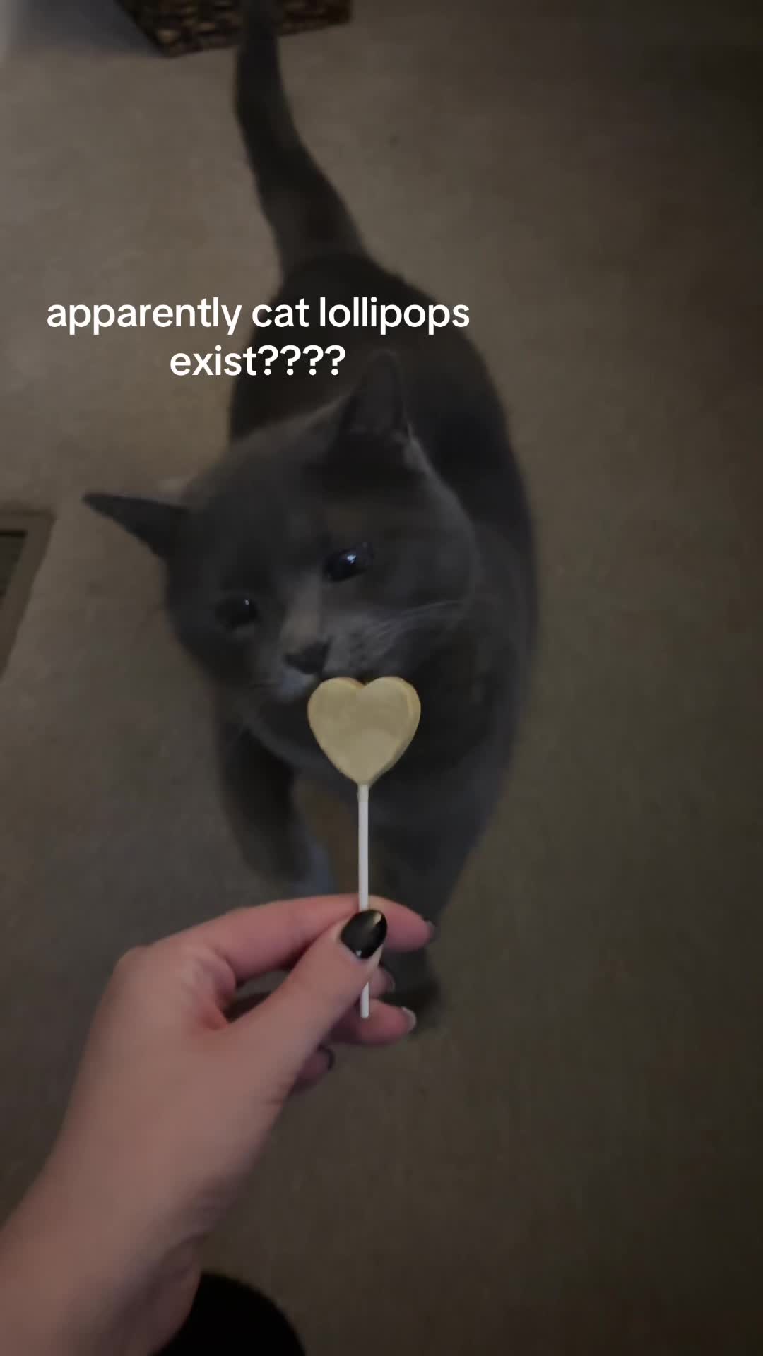 @ally