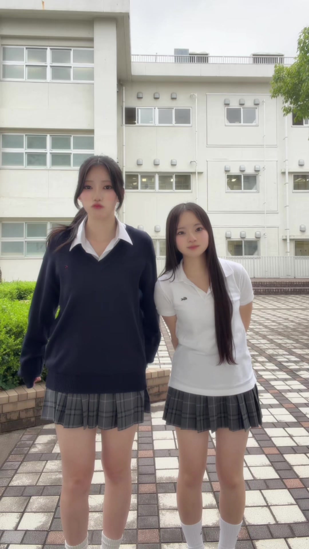 @白玉