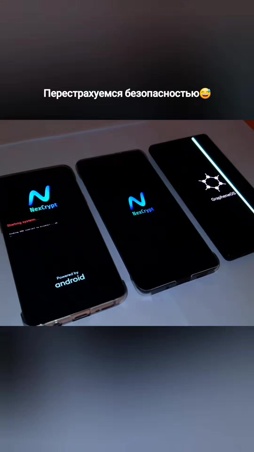 @『』 NexCrypt『』