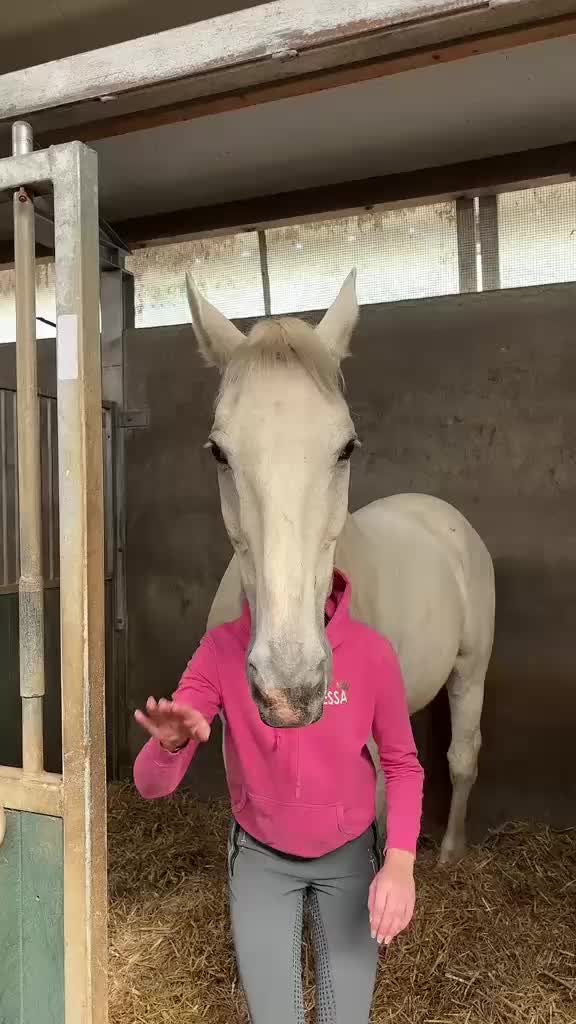 @manegeprinsenbankhoeve