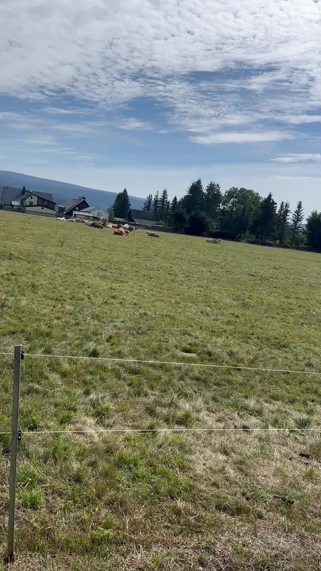 @Henrik