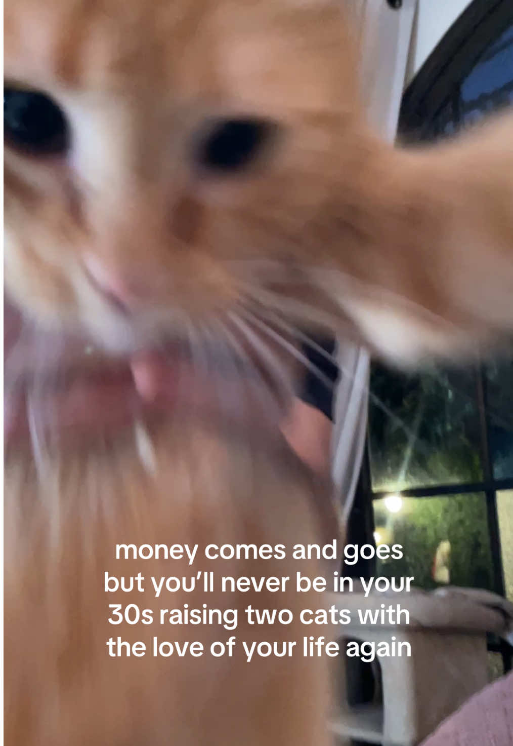 @Cami