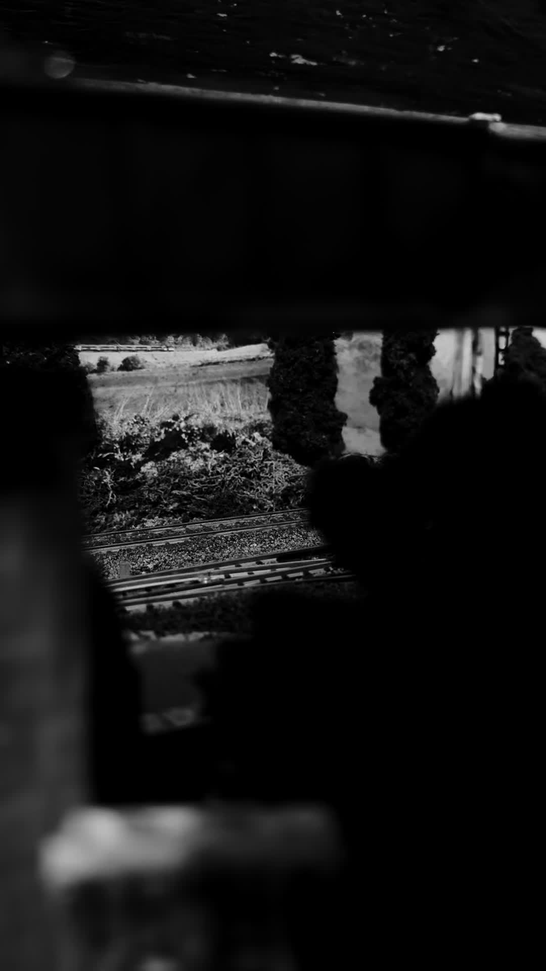 @Poppywood Branchline